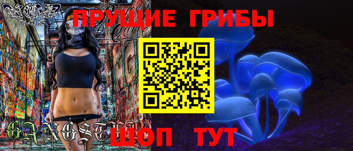 Галлюциногенные грибы Psilocybine cubensis  Вход с VPN  Усть-Илимск 